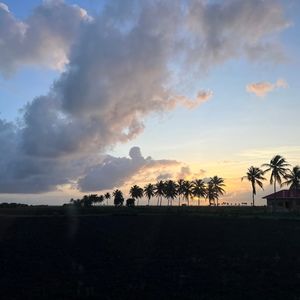 Meet your Posher, Lyla